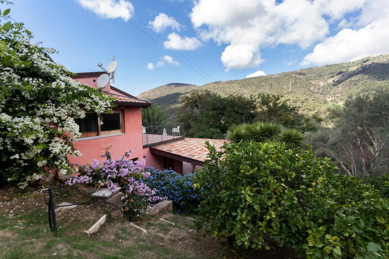 Agricontura Pension Capri Leone Buitenkant foto