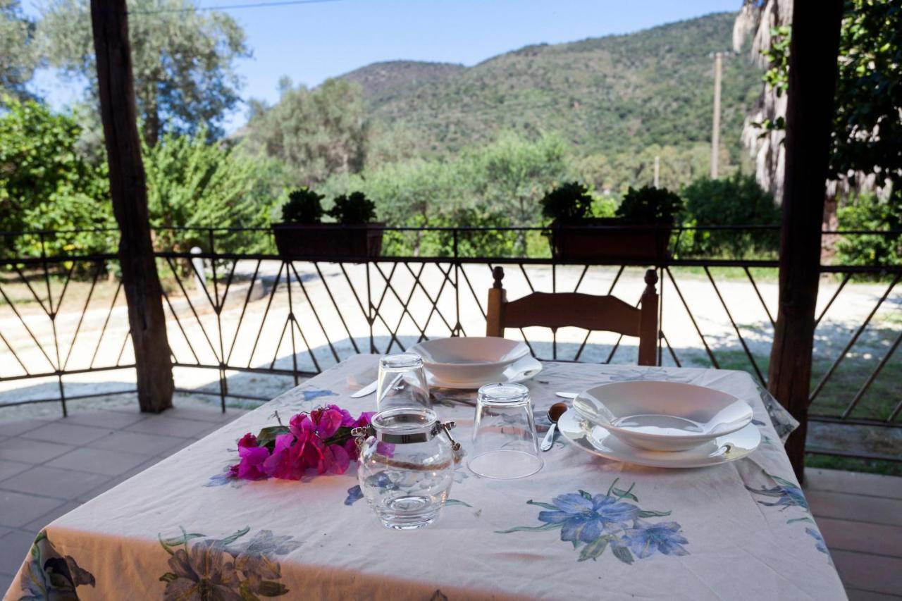 Agricontura Pension Capri Leone Buitenkant foto