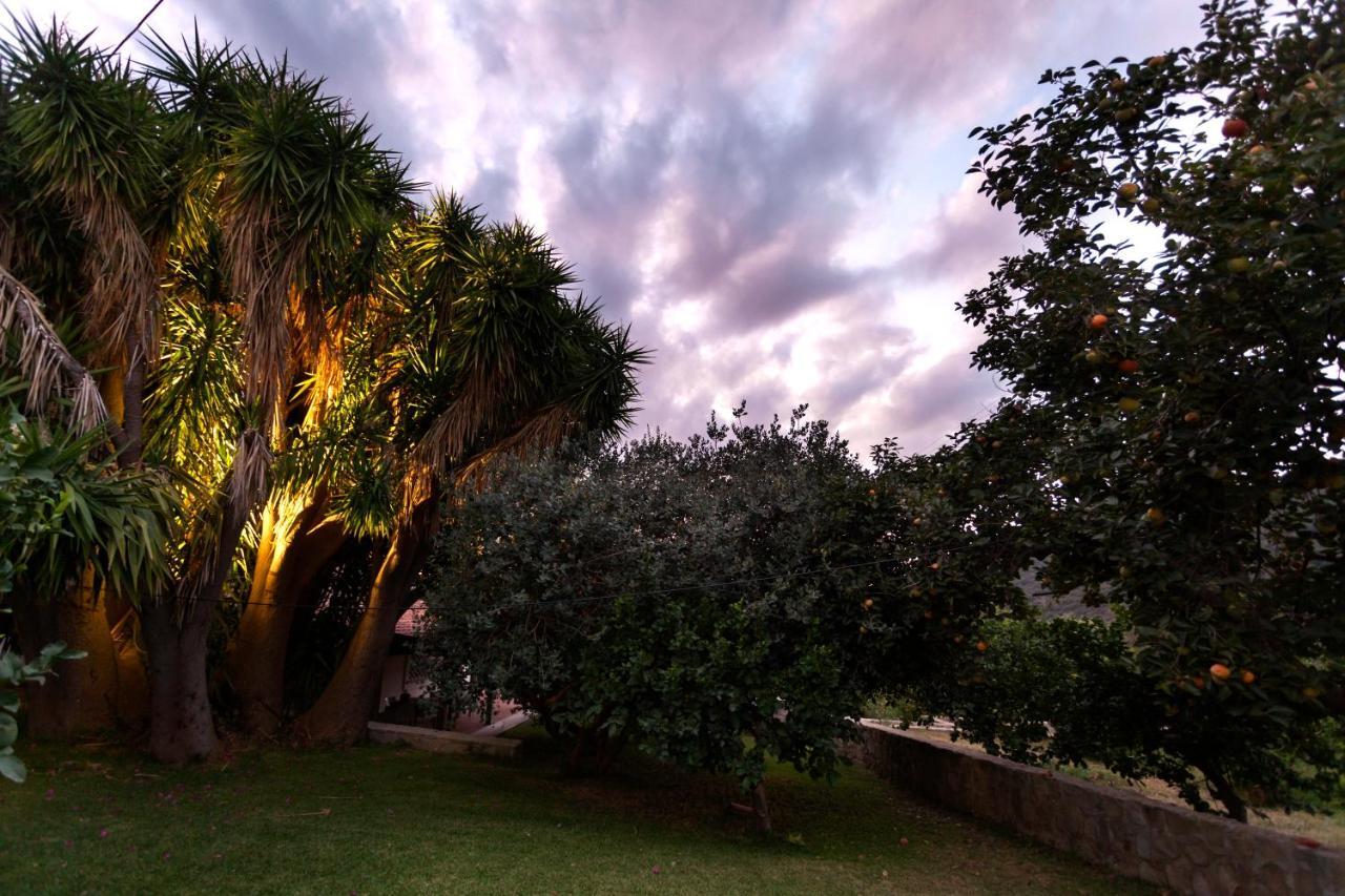 Agricontura Pension Capri Leone Buitenkant foto