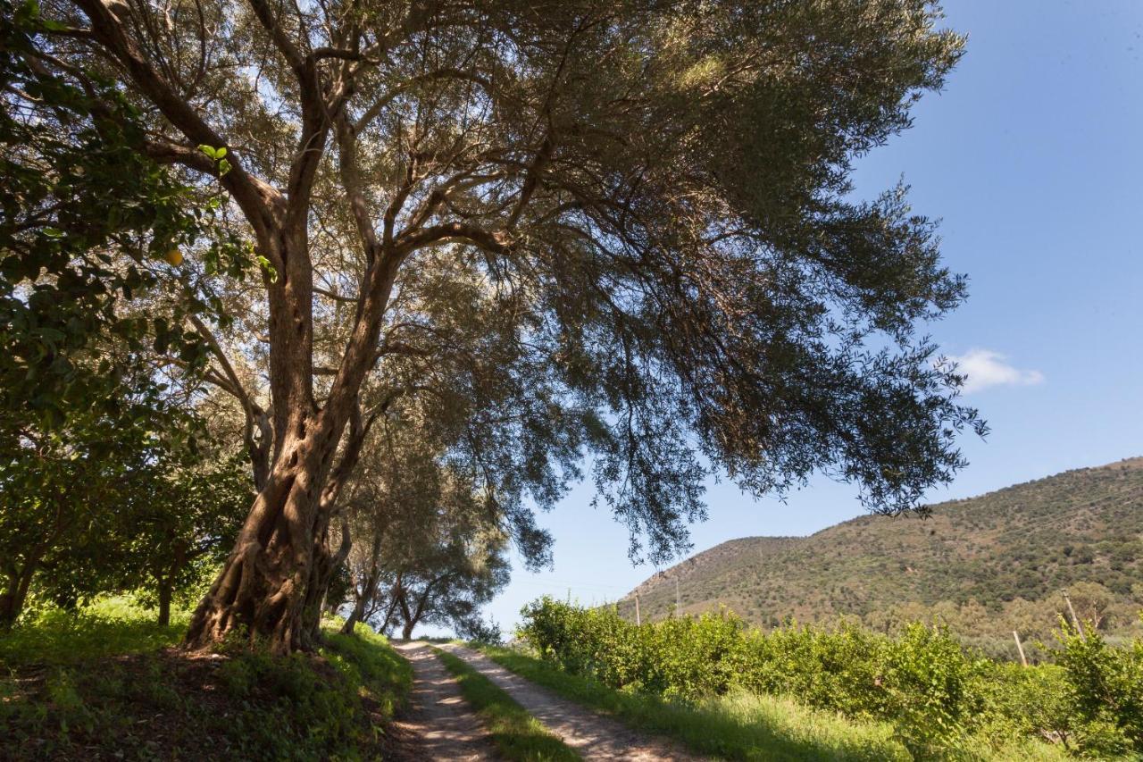 Agricontura Pension Capri Leone Buitenkant foto